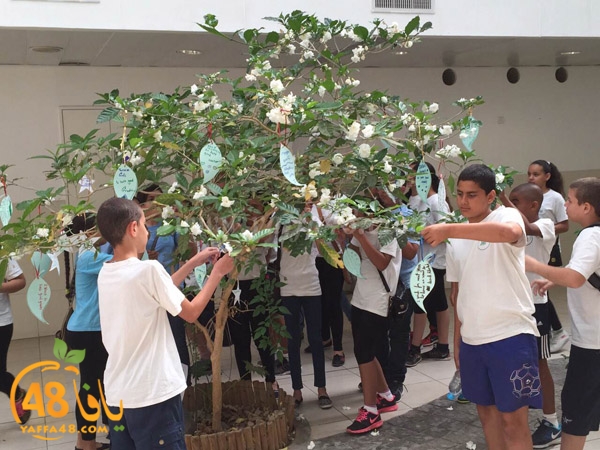 ajyal thanewya ibtida2ya (2).JPG